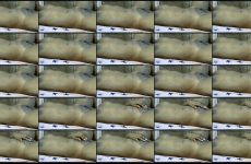 Big_asss22 stripchat Gentle Curvaceous Vixen Teases Her Hole her Bountiful Booty. Big_asss22