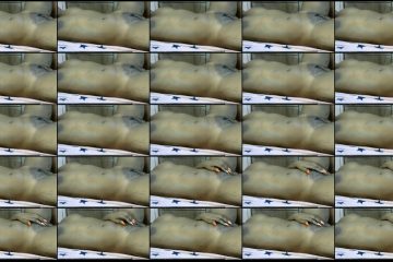 Big_asss22 stripchat Gentle Curvaceous Vixen Teases Her Hole her Bountiful Booty 5 Big_asss22 stripchat Gentle Curvaceous Vixen Teases Her Hole her Bountiful Booty. Big_asss22