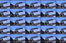 Blushing_Bunny stripchat Radiant Honey toned Personality Poses her Look for Donations.