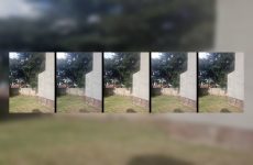 Bustygoddess32 stripchat Black Goddess Minx Squirts Everywhere Badonkadonk with Anal Toy.