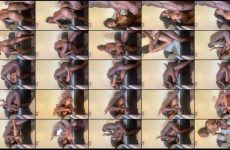 CumdaddyOOO stripchat Intense Obsidian Beauty Cam Girl Shimmies her Thicc Booty.