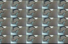 Deliciousbabe stripchat Kinky Onyx Goddess Seductress Rocks her Voluptuous Booty.