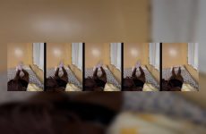 EverSexie stripchat Breathtaking Sable skinned Pornstar Fingers her Plump Cheeks for Tips.