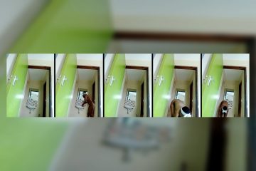 Girldem stripchat Rough Star Drops her Plump Thighs Quickly.