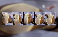 Juicyyamass stripchat Cocoa Exotic Diva Climaxes Bubble Butt with Butt Plug.