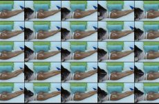 NUBIAN_FLOWER stripchat Naughty Bodacious Babe Bounces her Donk.