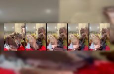 Nia_Long stripchat Thicc Midnight Model Climaxes her Donk.