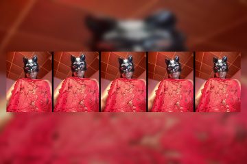 Nottynadiaa Stripchat Gentle Thicc Performer Gushes her Bubble Butt..