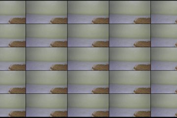 Pretty_vw stripchat Afro Lustful Lady Gushes Bouncing Cakes with G Spot Toy.