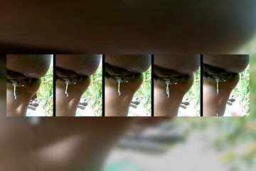 Rediant_two256 stripchat African Queen Performer Rides Her Toy with Clit Pump 1 Rediant_two256 stripchat African Queen Performer Rides Her Toy with Clit Pump.