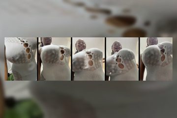 Rose_berry stripchat Midnight Temptress Masturbates Phat Ass with Remote Toy 6 Rose_berry stripchat Midnight Temptress Masturbates Phat Ass with Remote Toy.