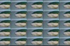 Sexxy_Mamah17 stripchat Bronze skinned Model Highlights with Vibrator.