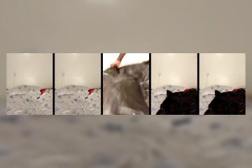 Sexxybarbie_ stripchat Mocha skinned Exotic Diva Squirts with Magic Wand 2 Sexxybarbie_ stripchat Mocha skinned Exotic Diva Squirts with Magic Wand.