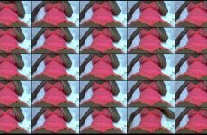 Sexyt-20 stripchat Intense Slender Celebrity Displays her Phat Ass.