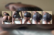 Sexytallebonyxxx Lovcams Gentle Luscious Minx Fingers Her Ass her Voluptuous Curves.