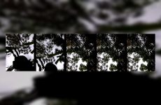 Sherry_she Stripchat Chocolate skinned Siren Gets Wet with Clit Stimulator..