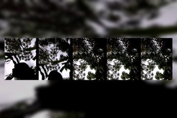 Sherry_she Stripchat Chocolate skinned Siren Gets Wet with Clit Stimulator. 9 Sherry_she Stripchat Chocolate skinned Siren Gets Wet with Clit Stimulator..