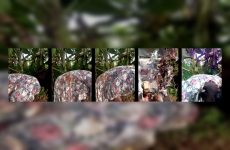 Sherry_she stripchat Exotic Brown skinned Temptress Dances her Bootylicious Buns for Rewards.