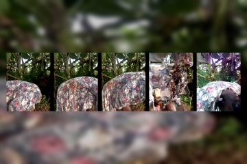 Sherry_she stripchat Exotic Brown skinned Temptress Dances her Bootylicious Buns for Rewards 3 Sherry_she stripchat Exotic Brown skinned Temptress Dances her Bootylicious Buns for Rewards.