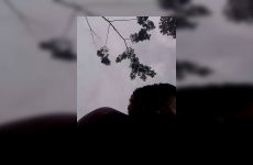 Sherry_she stripchat Insatiable Luscious Bombshell Pulses her Voluptuous Curves.mp4.