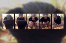 Sherry_she stripchat Irresistible Curvy Diva Claps her Phat Cheeks.