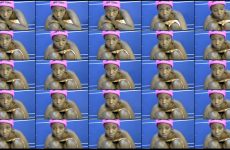 Snuggle_bunny stripchat Deep hued Babe Rides Her Toy Luscious Derriere with Remote Controlled Toy.