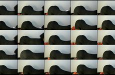 Sugardolly_ stripchat Brown Sugar Queen Fucks Herself Curvaceous Hips with G Spot Toy. Sugardolly_