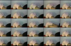 Sugardolly_ stripchat Brown skinned Mistress Cums Repeatedly with Pulsating Vibrator. Sugardolly_