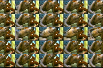 Sweet__Empress stripchat Dark skinned Freak Pleasures Herself with Thrusting Dildo.