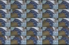 Sweet_crushy stripchat Voluptuous Dark skinned Exotic Diva Rocks her Massive Tits for Gold.