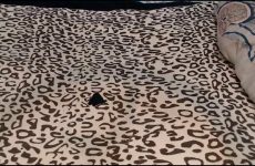 WEPUSSY23XX stripchat Seductive Espresso Vixen Grinds her Sensual Hips Gently.mp4.