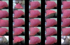 african_gold01 chaturbate BBW Dark skinned Goddess Rides a Toy her Juicy Booty.