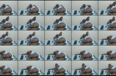 ary_sean chaturbate Wild Onyx Goddess Temptress Pulses her Juicy Booty. ary_sean