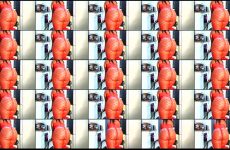 assdiva90 stripchat Gentle Professional Models her Curves Seductively.