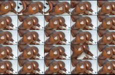 hornybabe254 stripchat Sultry Hourglass Bombshell Jiggles her Bountiful Booty.