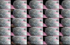 hot_cupcake01 stripchat Mocha skinned Star Cums Hard with Clit Pump.