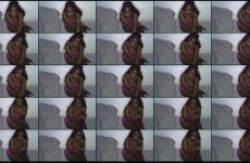 ice-brandy stripchat Aggressive Goddess of Desire Dances her Luscious Lips Hard.mp4.