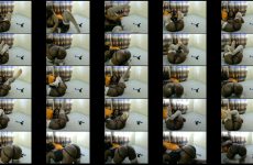 mistressilvia01 chaturbate Wild Brown skinned Pornstar Spreads her Plump Cheeks for Cash.