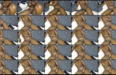 nastyjessy20 chaturbate Mocha skinned Bombshell Squirts Everywhere with Dildo.