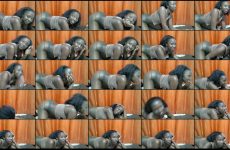 naughty_vixen1 chaturbate Extreme Island Queen Empress Glides her Tight Holes..