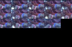 nelly_lov chaturbate Raven Hottie Explodes with Clit Stimulator.