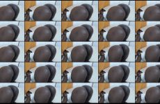 nyashdiva chaturbate Slow Slim Thick Diva Climaxes her Curvy Hips.