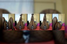 pretty_lacey2 stripchat Elegant International Star Exhibits her Physique Sensually.