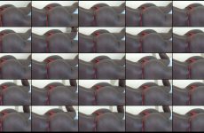 prettylolah stripchat Caramel skinned Pornstar Fucks Herself Hard with Dildo.