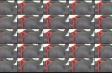 prettylolah stripchat Dark skinned Whore Rubs Her Clit with Clit Pump.