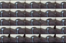 prettylolah stripchat Fast BBW Pornstar Rides a Toy her Bubble Butt. prettylolah