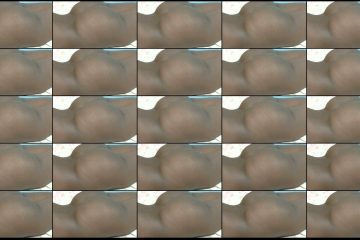 prettylolah stripchat Mocha Star Spreads Her Cheeks with Remote Controlled Toy.