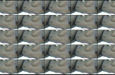 prettylolah stripchat Obsidian Beauty Vixen Gets Wet with Suction Toy.