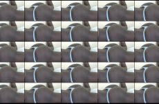 prettylolah stripchat Obsidian Beauty Vixen Rides Her Toy Curvaceous Hips with Penis Pump. prettylolah