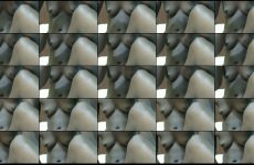 prettylolah stripchat Passionate Queen Pops her Phat Cheeks Aggressively.